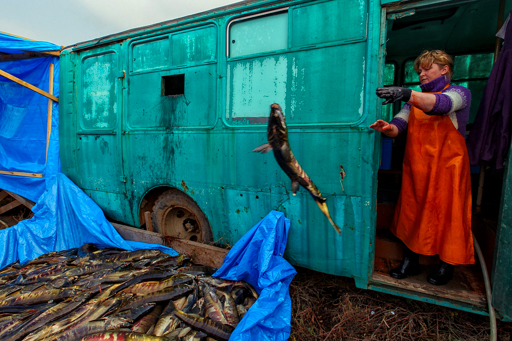 Выпотрошенная рыба