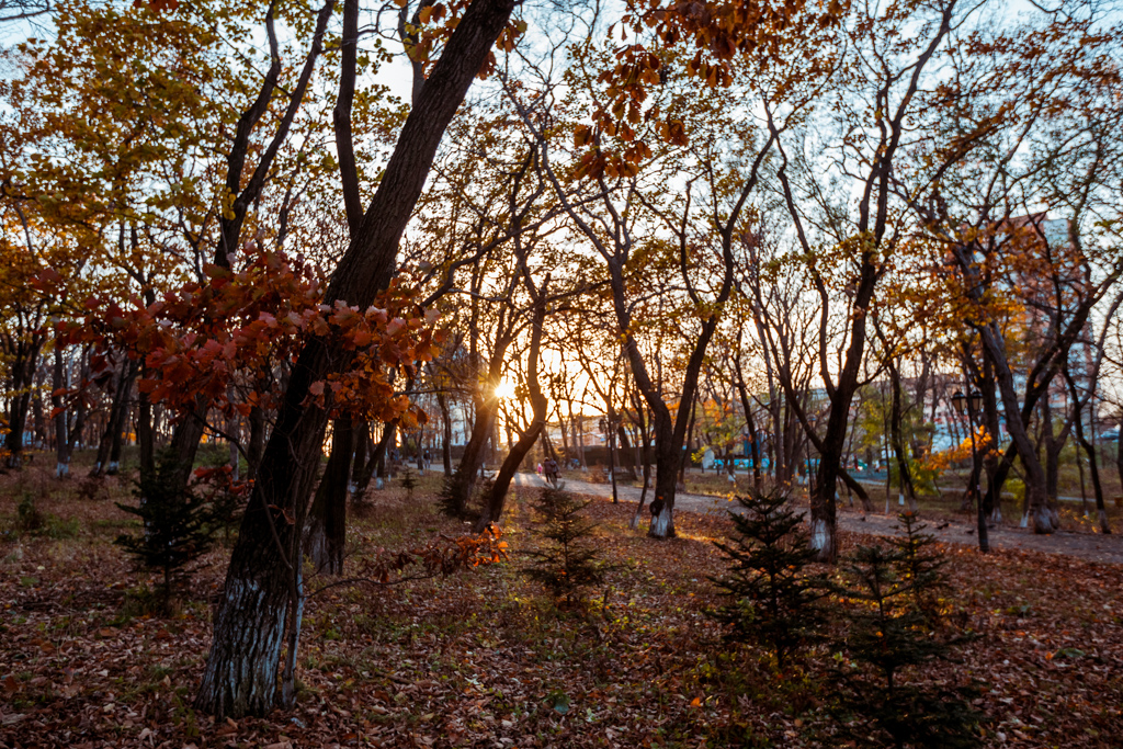 Владивосток осенью фото