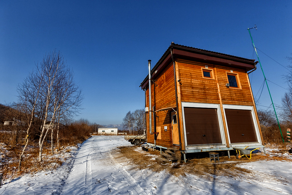 Кодон 