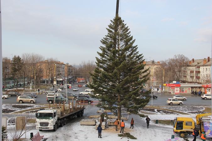 Город ели. Город артём Приморского края елка. Г. Артем Центральная площадь елка Приморский край. Елку города Артема на центральной площади. Елка в городе Артеме.