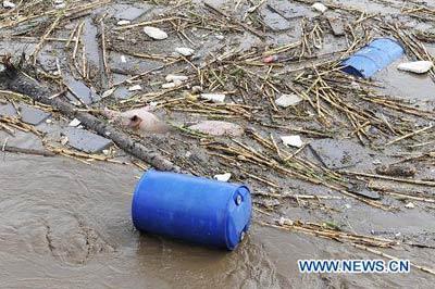 Вода с остаточным загрязнением реки Сунгари достигнет границы России 4 августа
