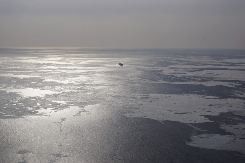 Поиски моряка
