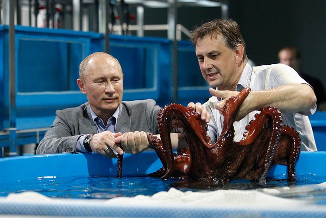 Владимир Путин в Приморском океанариуме