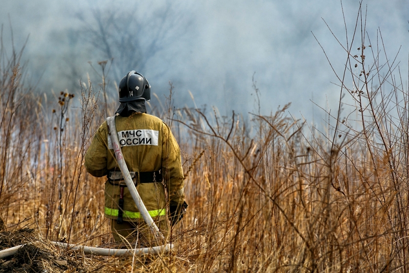 Первый весенний лесной пожар ликвидирован в Приморье Александр Хитров, РИА PrimaMedia