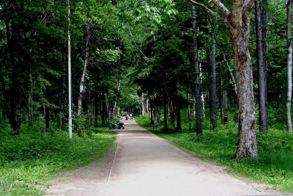 Южно сахалинск городской парк