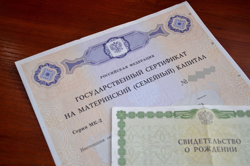 Приморские семьи получают выплаты из маткапитала через Интернет Померанцева Марина, EAOmedia