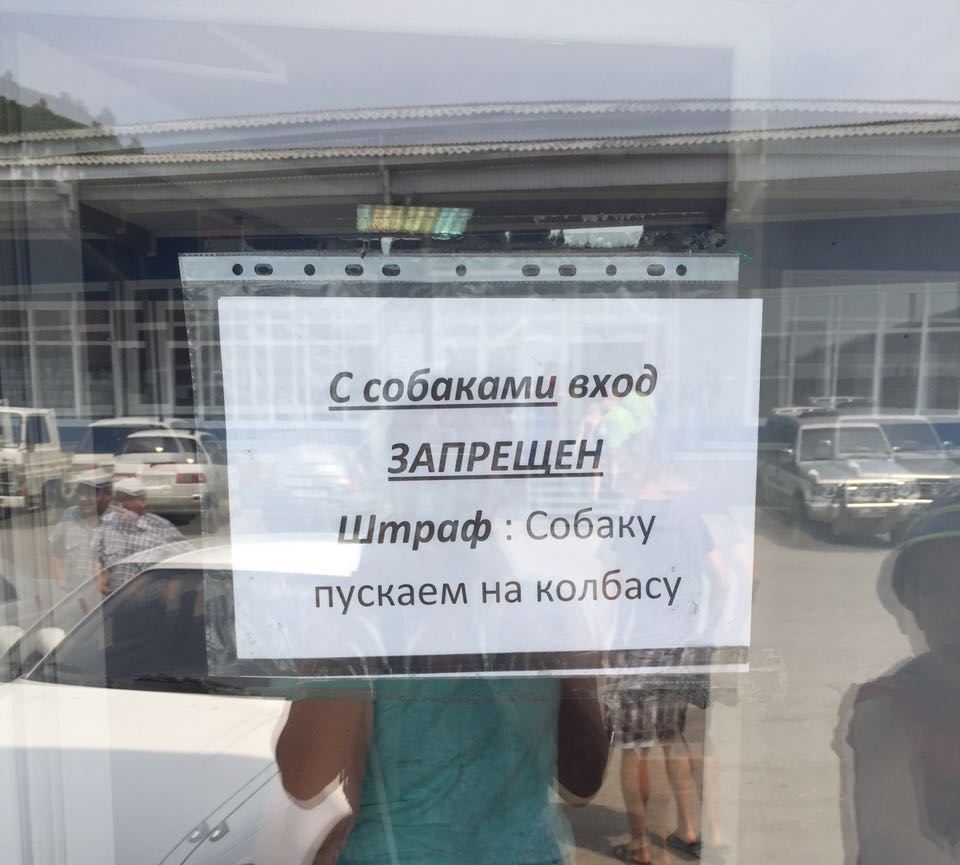 Собака Оленникова Мария, IrkutskMedia