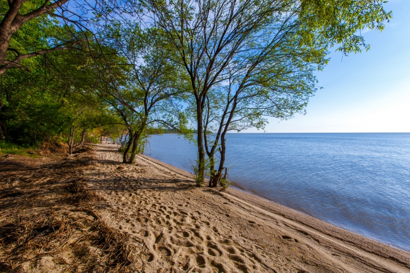 Озеро Ханка: простор для семейного отдыха, рай для рыбалки и наблюдения за птицами
