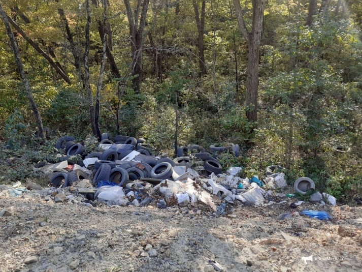 Лес и дорогу у мусорного полигона Владивостока превратили в свалку