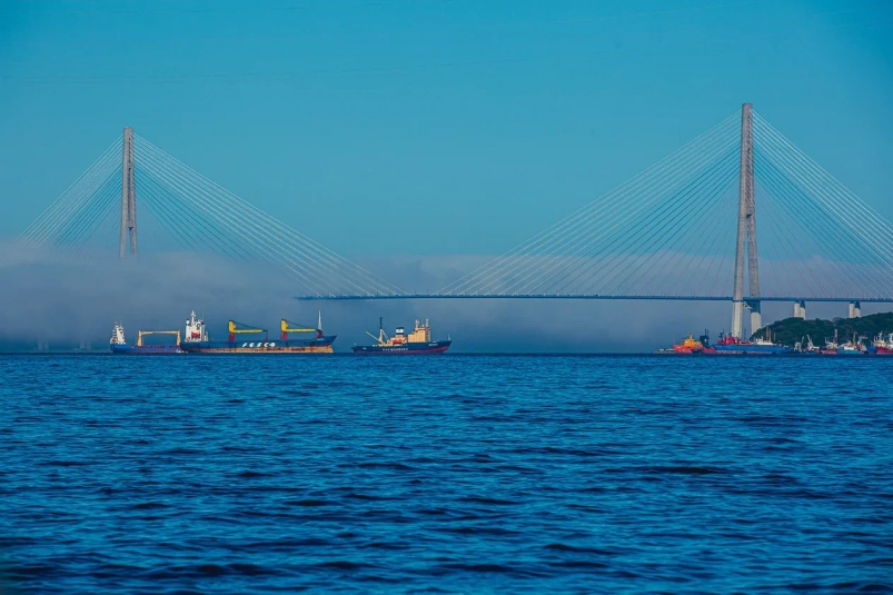 Во Владивостоке удалось предотвратить трагедию на Русском мосту