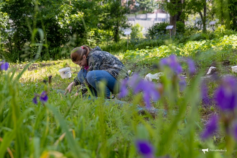 Коллективный труд и высадка цветов: один день школьной рембригады Владивостока