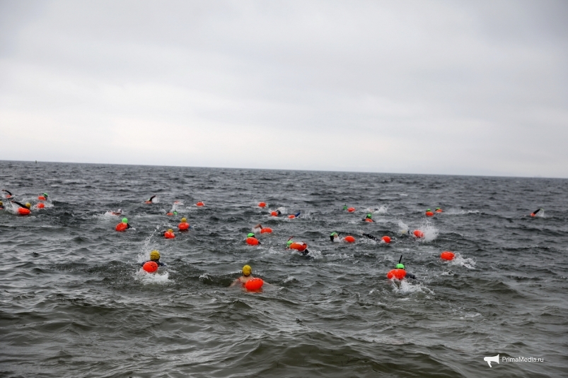 Спортсмен из Хабаровска победил в марафонском заплыве "Амурский залив" во Владивостоке