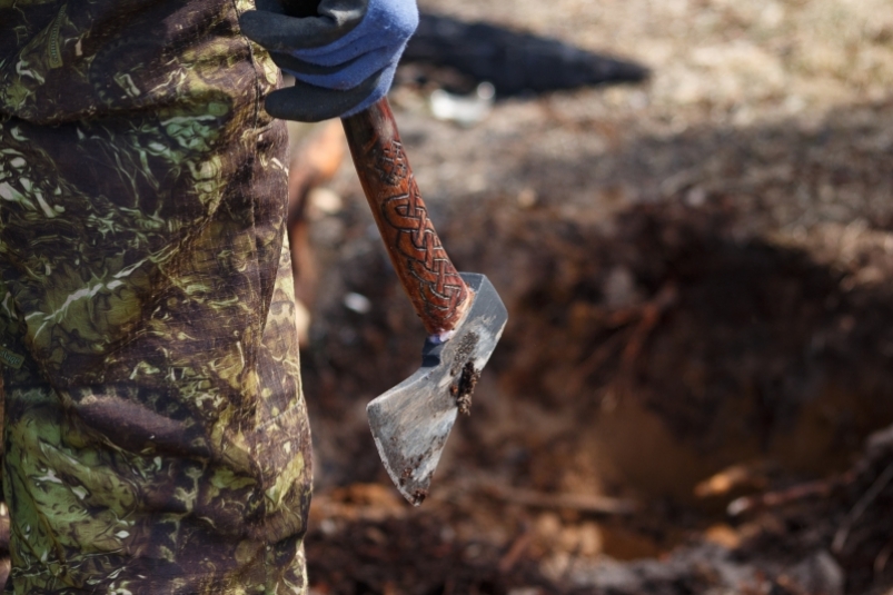 Проверки все строже: ущерб от черных лесорубов в Приморье составил более 2 млрд рублей