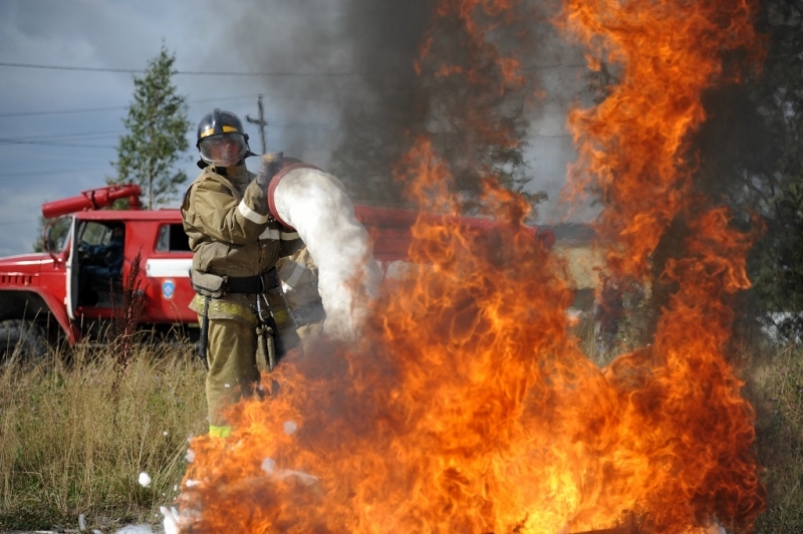 Глава Минлесхоза Приморья: подготовка к лесным пожарам никогда не прекращается