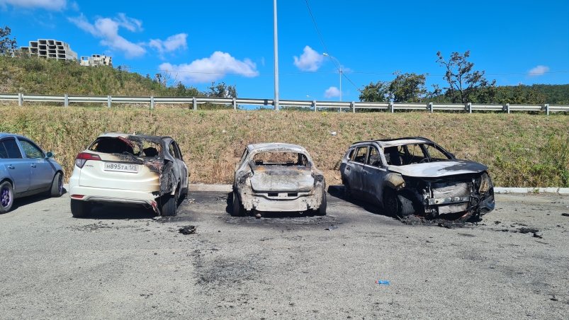 Три автомобиля сгорели ночью на стоянке на улице Басаргина во Владивостоке