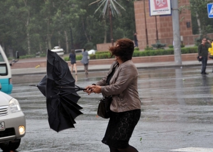 Во Владивостоке дождь и сильный ветер: ГИБДД предупреждают водителей и пешеходов