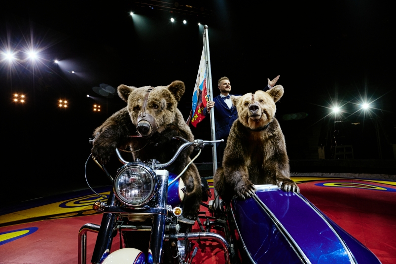 Медведи на велосипеде и мопеде: во Владивосток приехал "Цирк Филатовых"