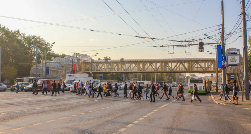 Виадук VS зебра: почему пешеходы Владивостока бросаются под колеса и трутся об авто