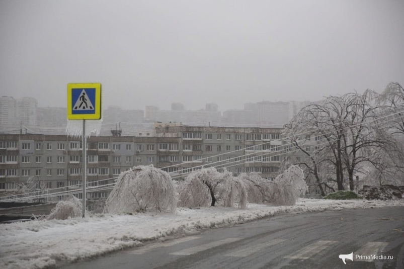Названо время лютого мороза за весь январь во Владивостоке - новый прогноз