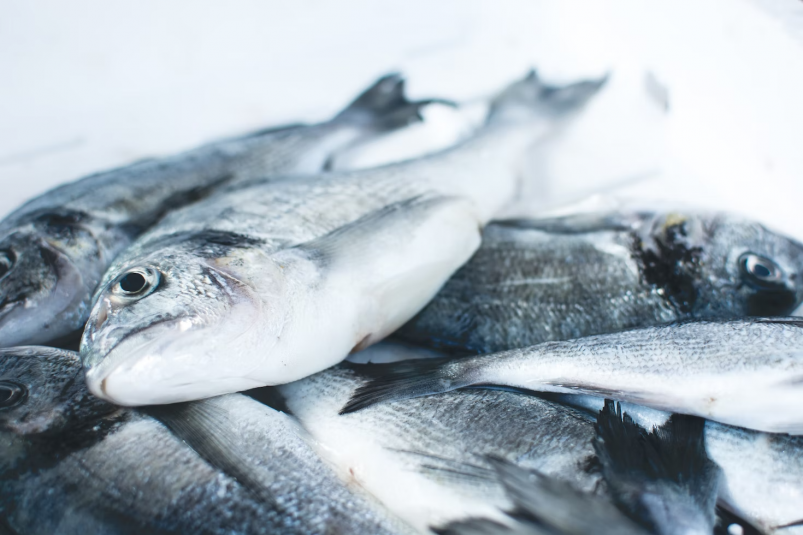 Объем реализации свежевыловленной рыбы на Сахалине и Курилах за 2 месяца превысил 2021 год