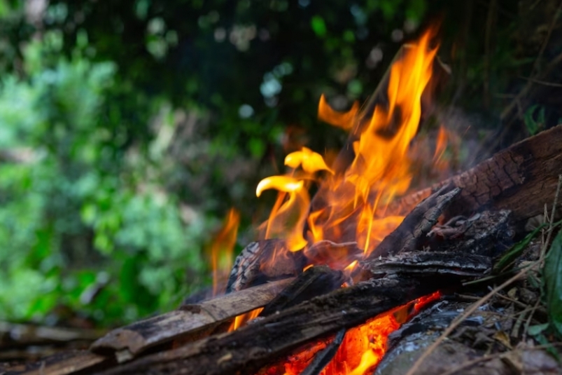Режим ЧС введен в лесах ЕАО из-за бушующего пожара в заповеднике "Бастак" 