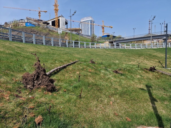 Изначально не было шансов: эксперты о причинах провала озеленения сквера путешественников во Владивостоке