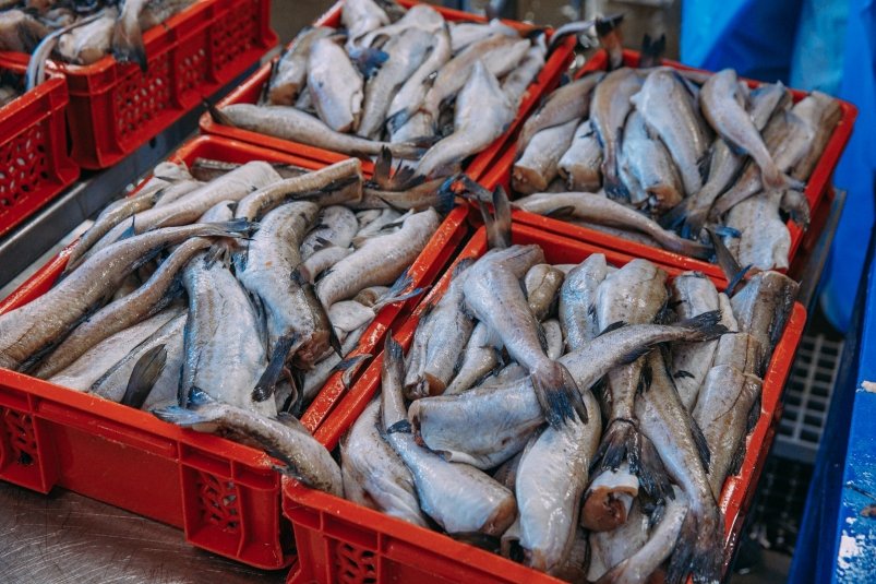 РСПП предложит обнулить экспортные пошлины на ограниченный перечень рыбопродукции