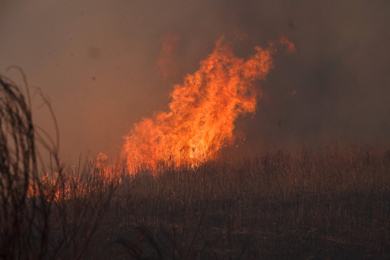 Приморье в огне: сильные ветры вызывают пожары и возгорания на юге региона