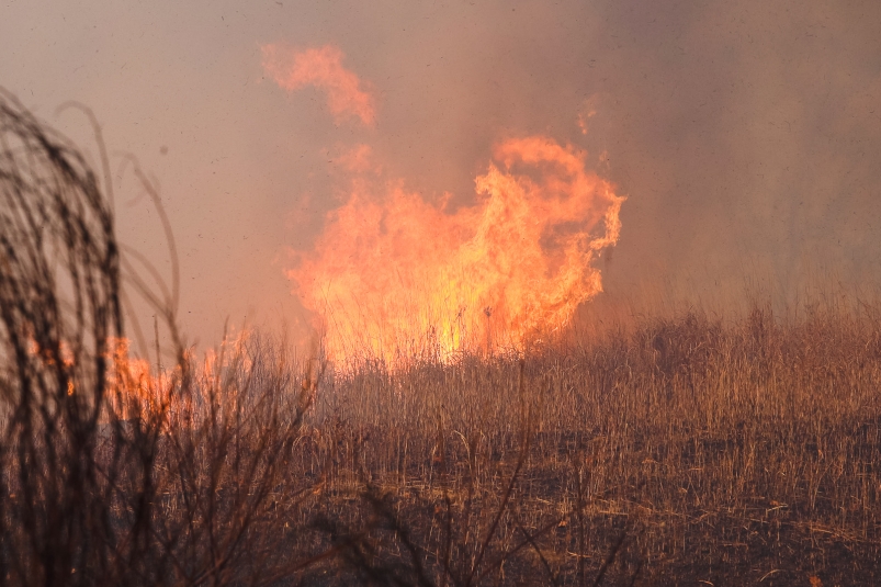 Возгорание сухой травы регистрируют в Хабаровском крае