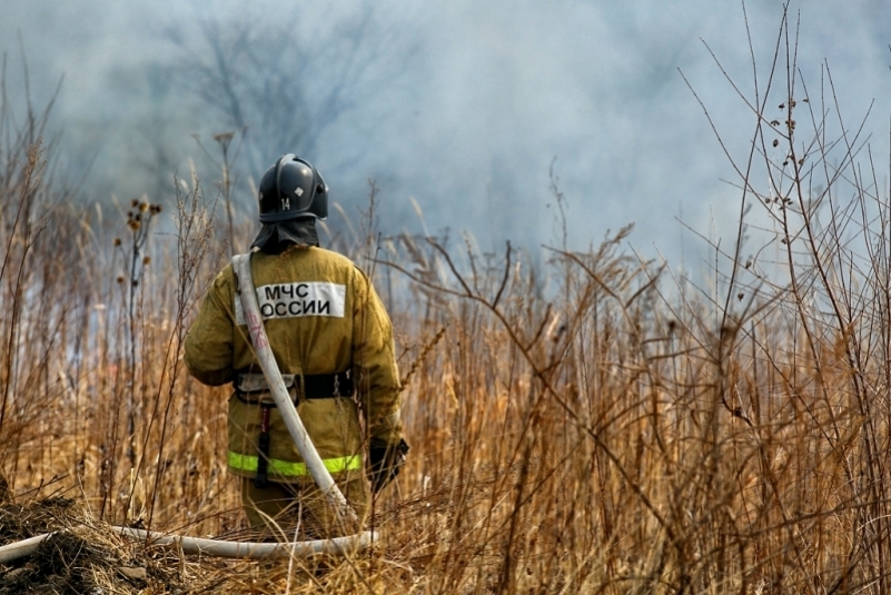 Три природных пожара потушили в Приморье за минувшие сутки