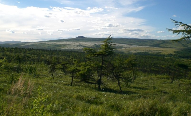 В Якутии нанесли ущерб окружающей среде на сумму 464 млн рублей