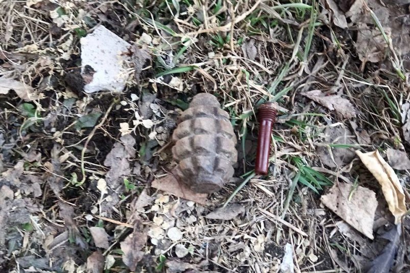 Боевую гранату и 15 патронов обнаружили во дворе дома в Биробиджане