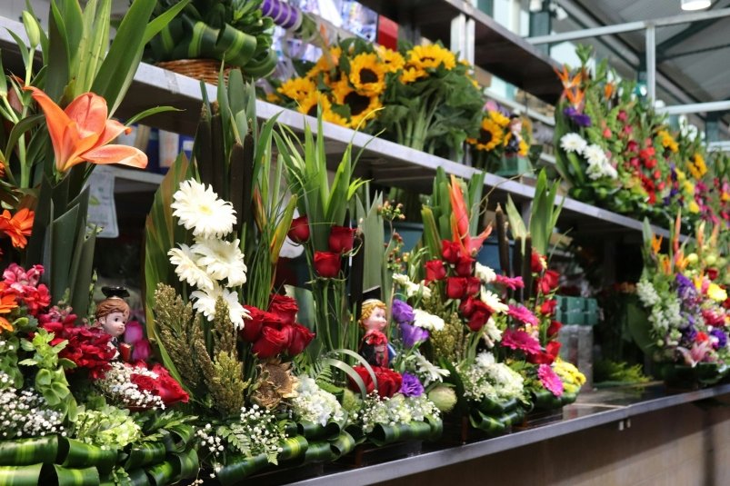 Штраф 5 000 рублей: россиянам запретили срывать и продавать популярные цветы