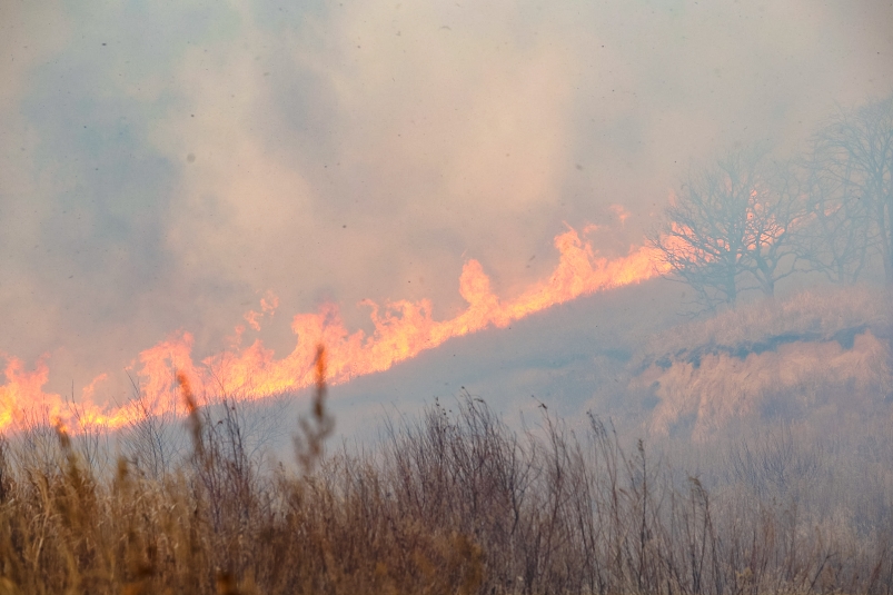 Почти тысяча гектаров леса горит в Хабаровском крае