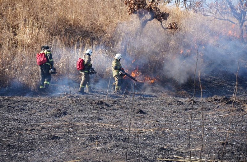 В Приморье потушили природных пожаров на площади 13 тысяч гектаров