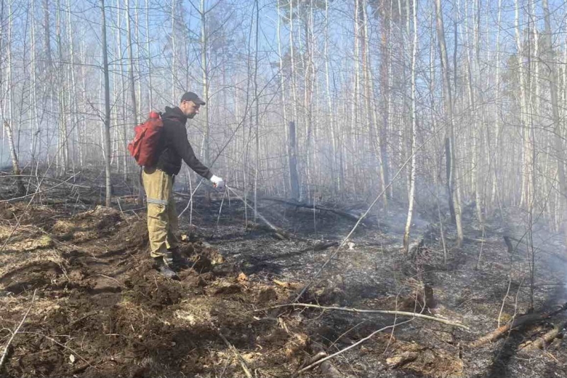 Десять новых пожаров потушили в Иркутской области за минувшие сутки