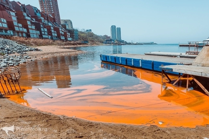 Оранжевый прибой: яркое природное явление наблюдается во Владивостоке