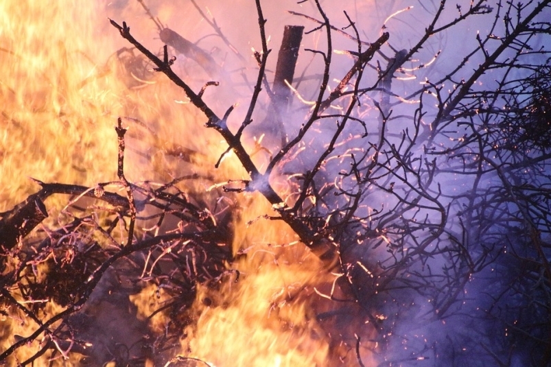 Борьба с огнём: в Приморье потушили 20 природных пожаров на площади 16 тысяч гектар