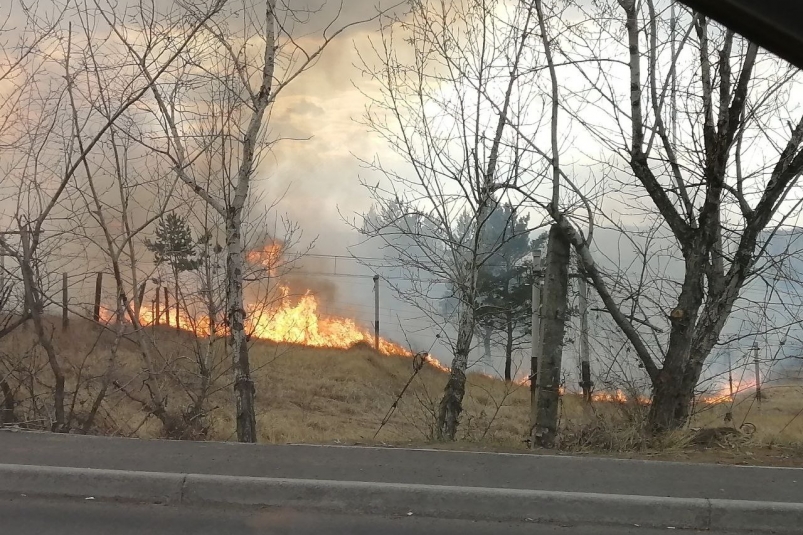За минувшие сутки общая площадь лесных пожаров в Приморье составила 390 гектаров