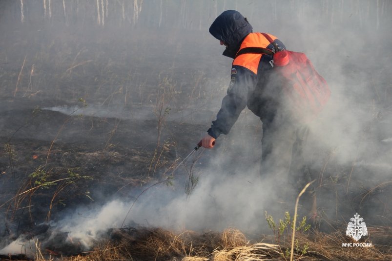 В Хабаровском крае площадь лесных пожаров выросла до 31,5 тысяч га