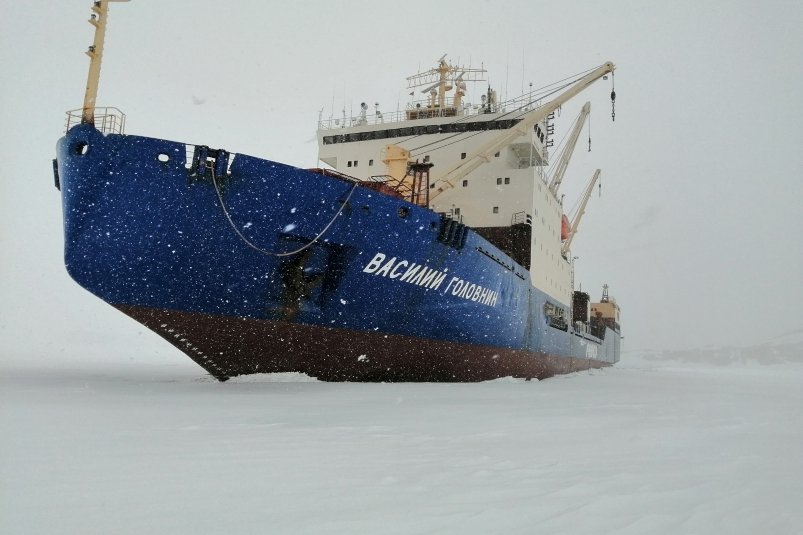Капитан FESCO Николай Дишкант: Антарктида мне даже снится