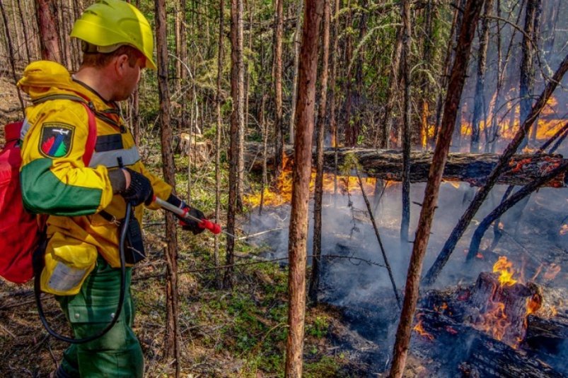 14 лесных пожаров ликвидировали в Хабаровском крае за прошедшие три дня