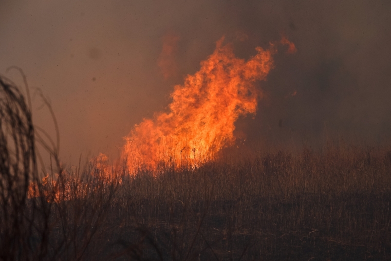 В Якутии тушат 11 лесных пожаров