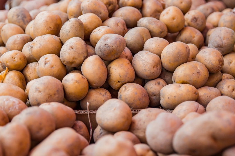В Приморье не пустили картофель из Китая из-за бурой гнили и моли
