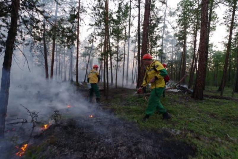 В Якутии за сутки обнаружено 28 новых лесных пожаров