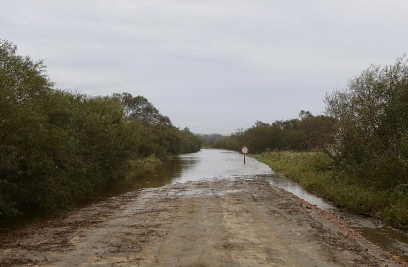 Отрезанные села и подтопления: актуальная паводковая обстановка в Приморье