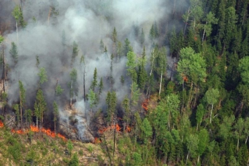 23 пожара зарегистрировали на территории  Хабаровского края