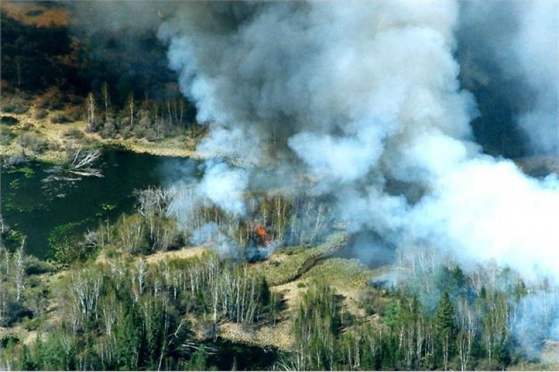 28 лесных пожаров бушуют на территории Хабаровского края