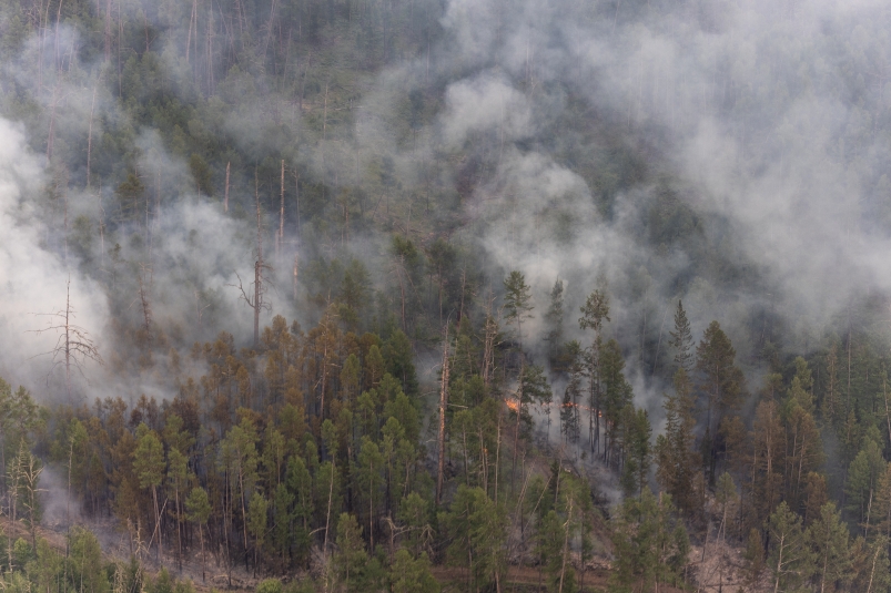 Наиболее сложная лесопожарная обстановка складывается  в Южной и Юго-Западной Якутии