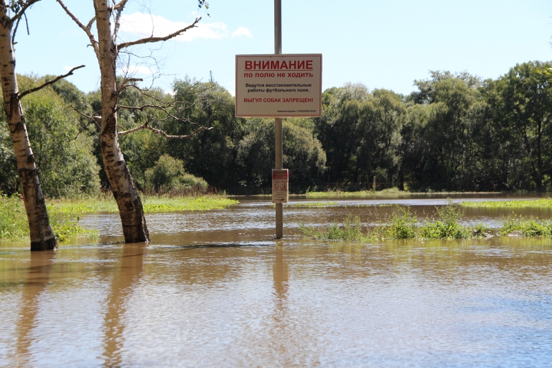 Паводковая ситуация в Приморье: более 90 домов остаются подтопленными